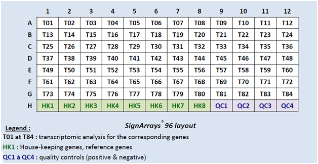 signarrays-layout