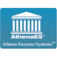 AthenaES