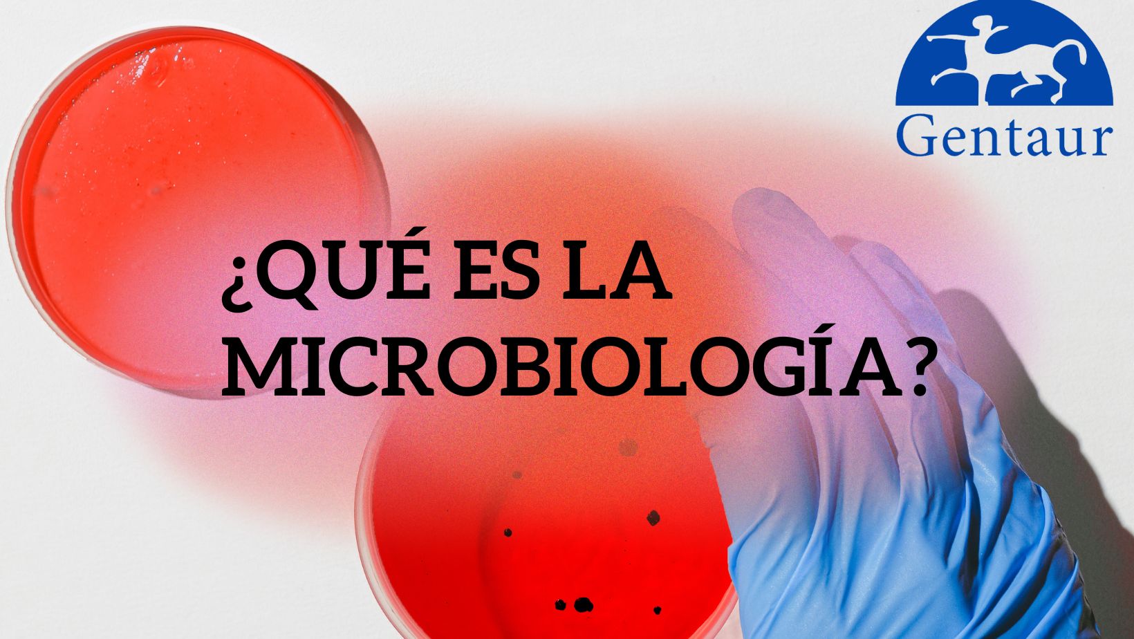 ¿Qué es la microbiología? - Historia, Campos - Gentaur España ...